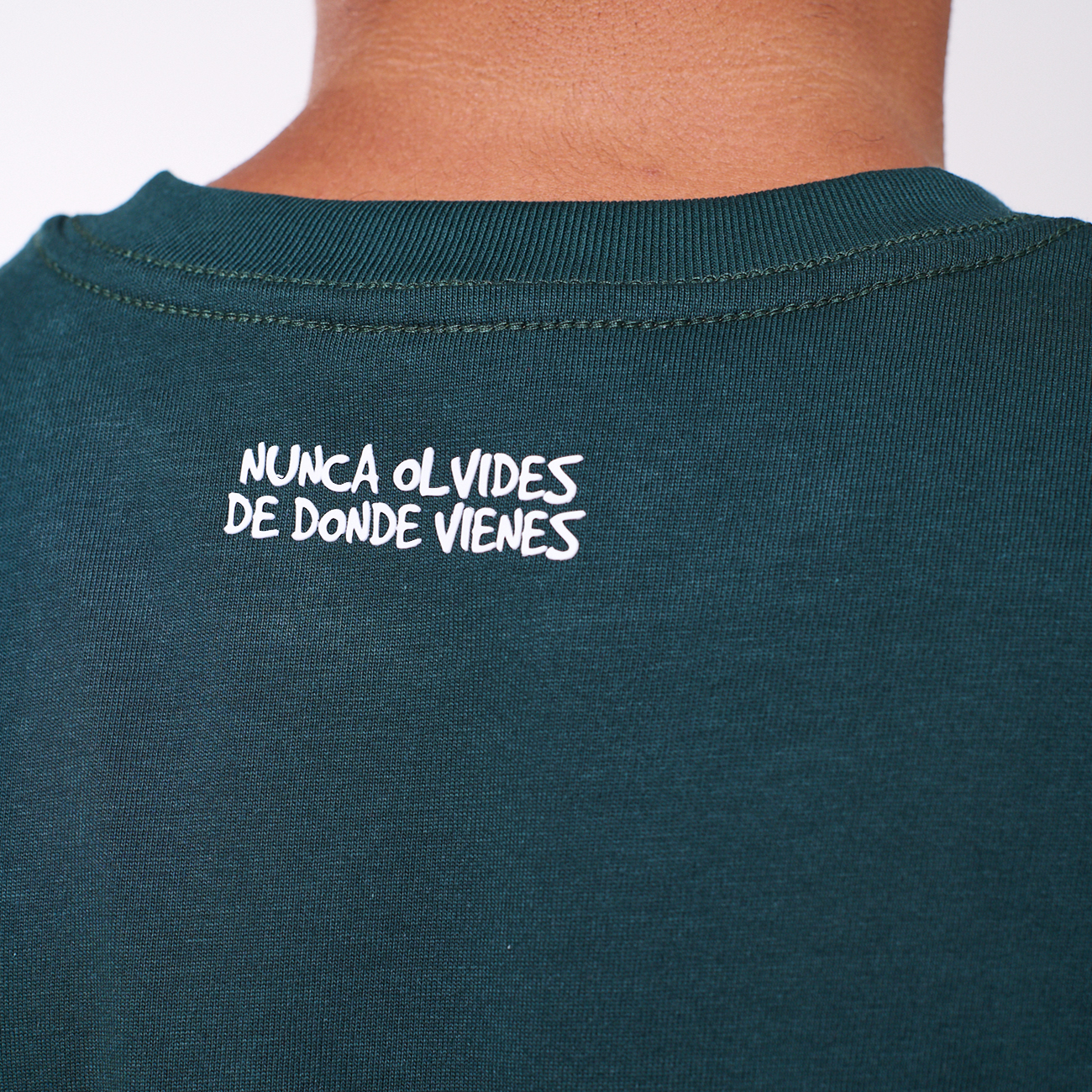 reverde4